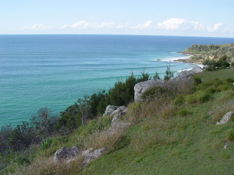Goanna Headland - Accommodation Gladstone 1