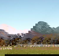 Grampians - Accommodation Gladstone