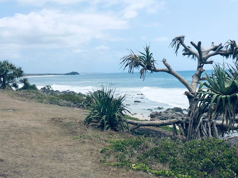 Hastings Point Beach - Accommodation Gladstone 1