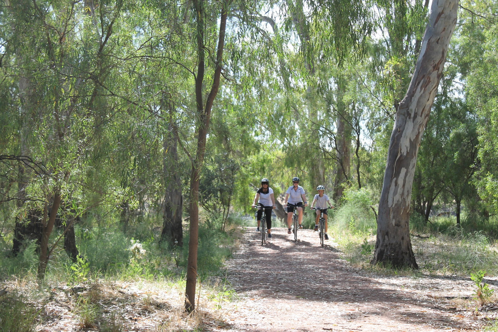 Oxley NSW Accommodation Gladstone