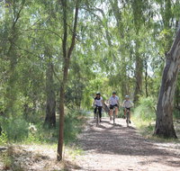Hay Free Push Bikes - Accommodation Gladstone