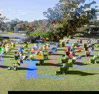 Hello Koalas Sculpture Trail - Accommodation Gladstone