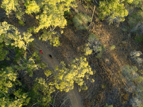 Hillview Drive Reserve - Accommodation Gladstone 2