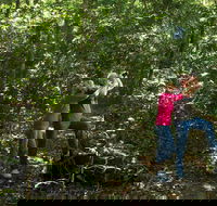 Iluka Rainforest Walking Track - Accommodation Gladstone