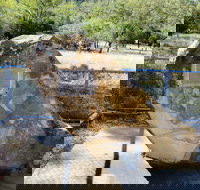 John Oxley Monument - Accommodation Gladstone