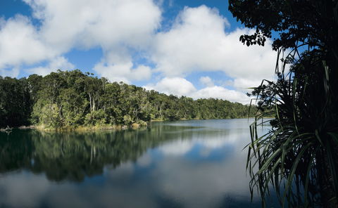 Lake Eacham, Crater Lakes National Park - Accommodation Gladstone 0