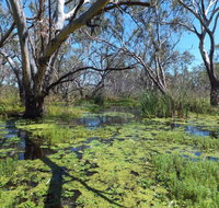 Macquarie Valley Trails - Accommodation Gladstone