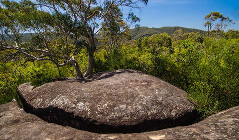 Marramarra Ridge To Smugglers Ridge Walking Track - Accommodation Gladstone 0