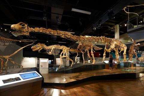 Melbourne Museum - Accommodation Gladstone 1