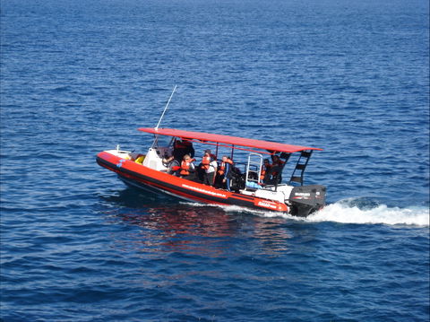 Merimbula Divers Lodge - Accommodation Gladstone 1