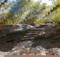 Mooney Mooney nature walk - Accommodation Gladstone