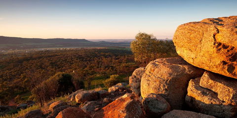 Mount Brown Lookout - Accommodation Gladstone 0