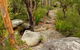 Mount Olive Trail - thumb 0