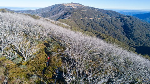 Mt Buller Bike Park - Accommodation Gladstone 0