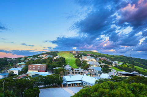 Mt Buller Bike Park - Accommodation Gladstone 2