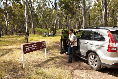Murray Valley Regional Park - Accommodation Gladstone 0