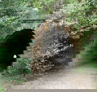 Mushroom Tunnel - Accommodation Gladstone