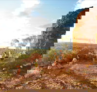 Natural Sciences Loop - Accommodation Gladstone