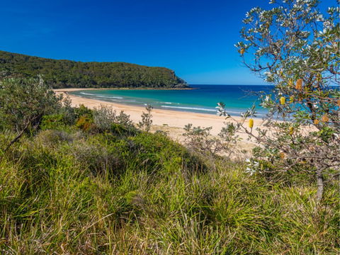 North Durras Beach - Accommodation Gladstone 0
