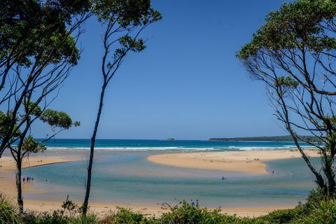 North Durras Beach - Accommodation Gladstone 1