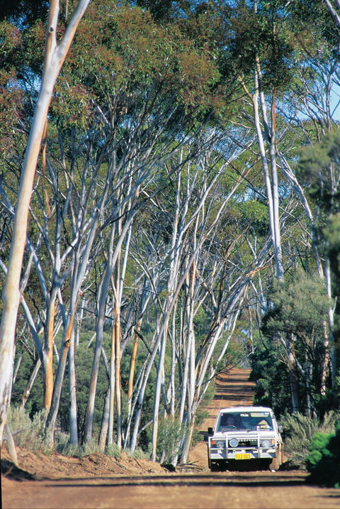 Norseman - Accommodation Gladstone 1