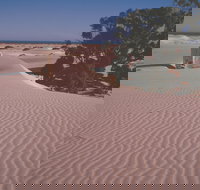 Nullarbor Plain - Accommodation Gladstone