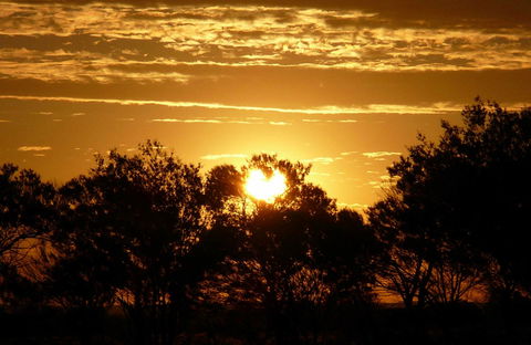 Paroo-Darling National Park - Accommodation Gladstone 0