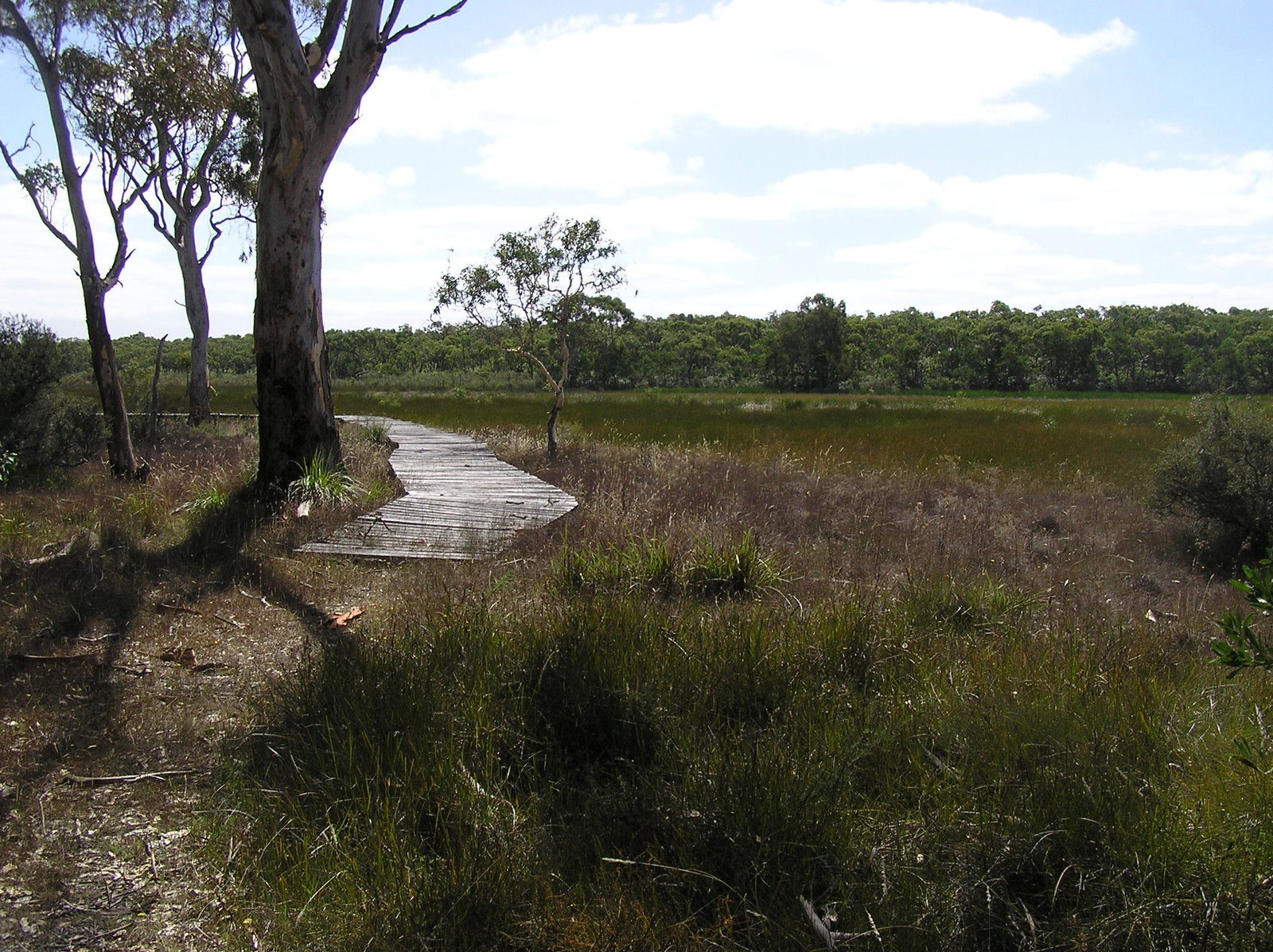 Penola SA Accommodation Gladstone