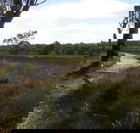Penola Conservation Park - Accommodation Gladstone