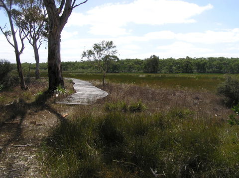 Penola Conservation Park - Accommodation Gladstone 0