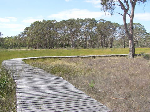 Penola Conservation Park - Accommodation Gladstone 1