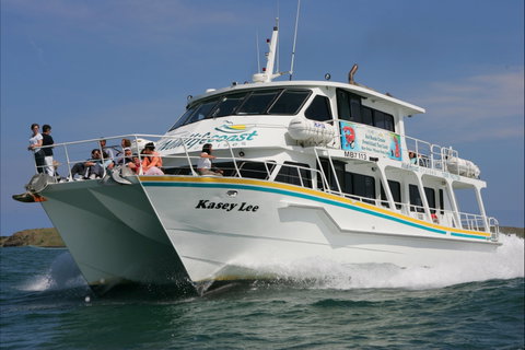 Phillip Island Experience - Accommodation Gladstone 2