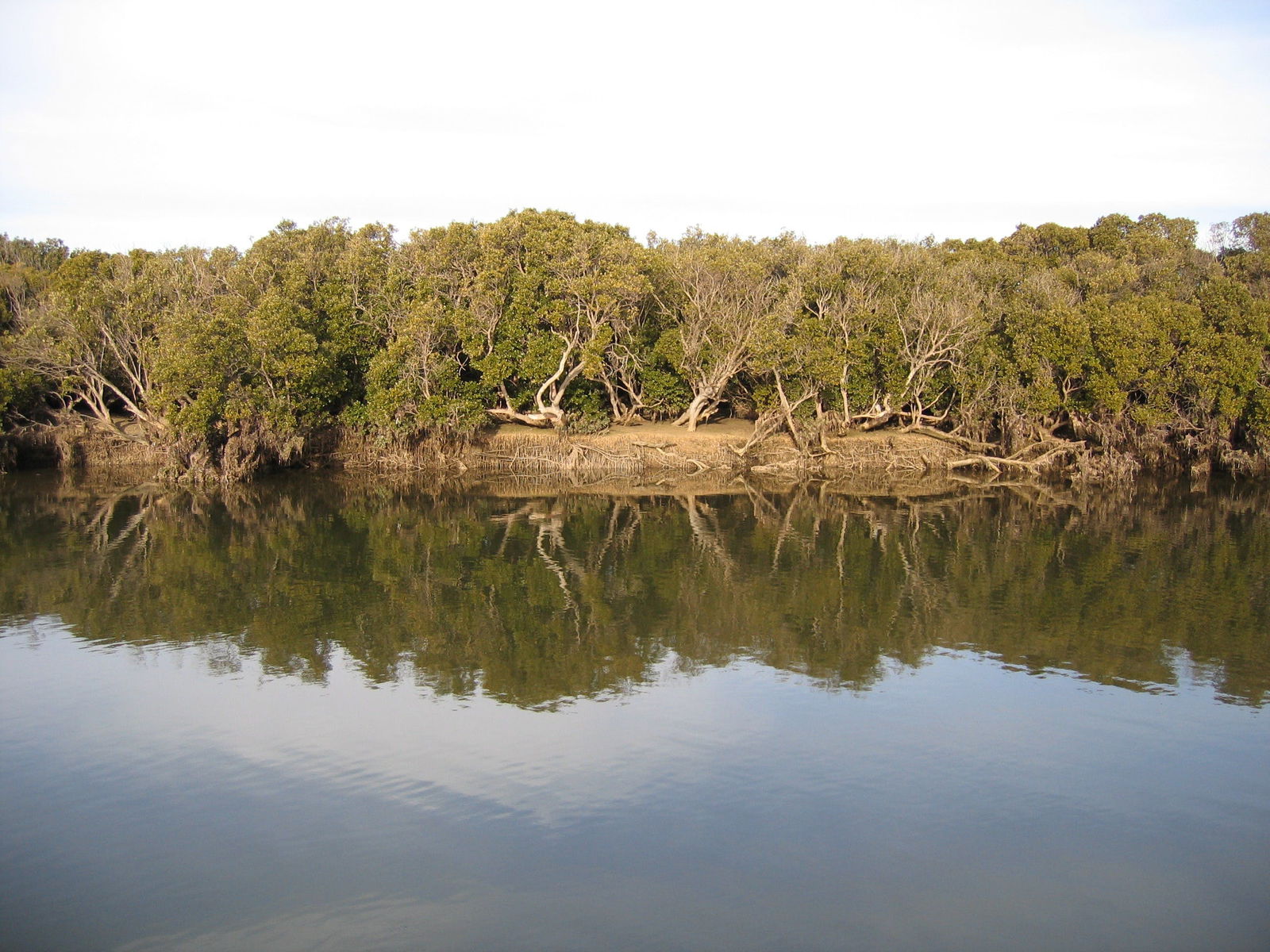 Price SA Accommodation Gladstone
