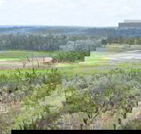 Princess Hills Girringun National Park - Accommodation Gladstone