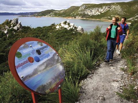 Rocky Cape National Park - Accommodation Gladstone 0