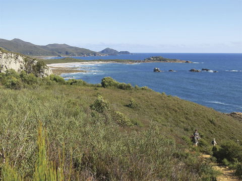 Rocky Cape National Park - Accommodation Gladstone 1