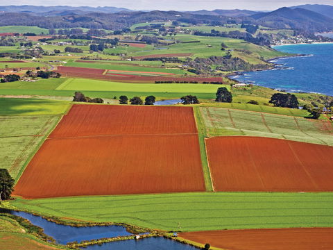 Rocky Cape National Park - Accommodation Gladstone 2
