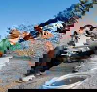 Sapphire - Accommodation Gladstone