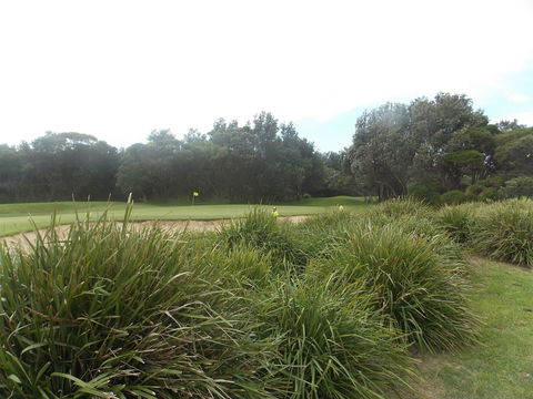 Shoalhaven Heads Golf Club - Accommodation Gladstone 0