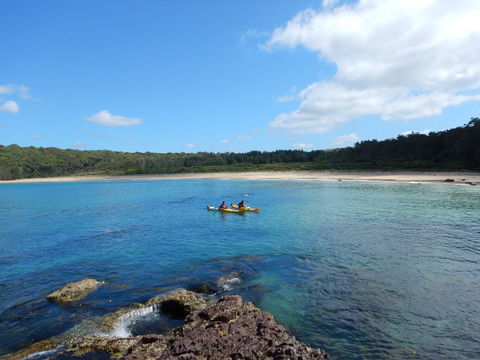 South Durras To Batemans Bay - Kayaking In The Batemans Marine Park - Accommodation Gladstone 0