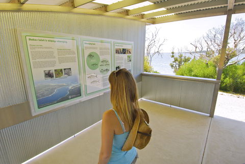 Stokes National Park - Accommodation Gladstone 1