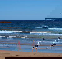 Surf Beach Batemans Bay - Accommodation Gladstone