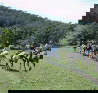 Timbertops - Horse Riding - Accommodation Gladstone