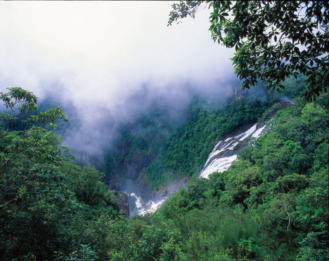 Tully Falls And Tully Gorge - Accommodation Gladstone 0