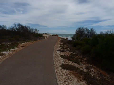 Turquoise Way Trail, Jurien Bay - Accommodation Gladstone 0