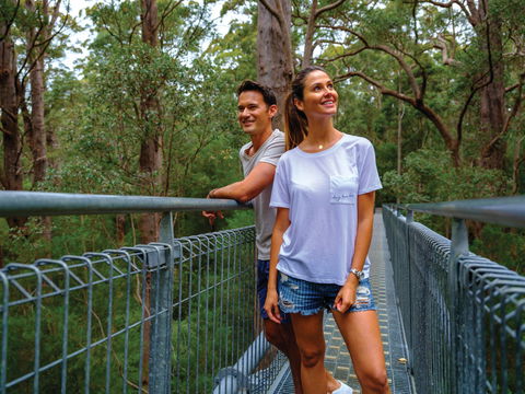 Valley Of The Giants Tree Top Walk - Accommodation Gladstone 0