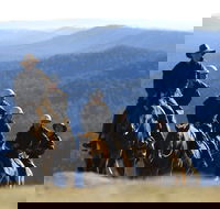 Victoria's High Country - Accommodation Gladstone