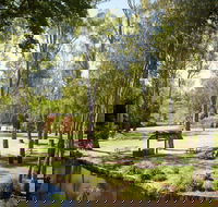 Wangaratta's Significant Trees Walks - Accommodation Gladstone