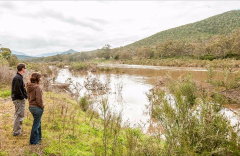 Willis Picnic Area - Accommodation Gladstone 0