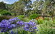 Wittunga Botanic Garden - thumb 0